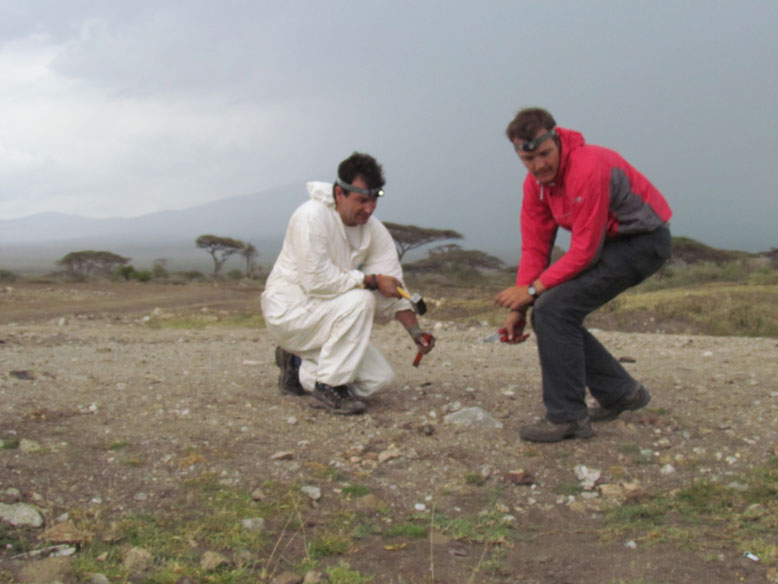 buscando el homosapiens